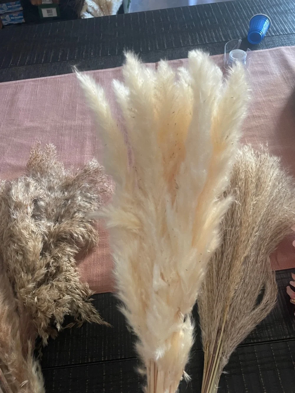 N/A dried pampas
